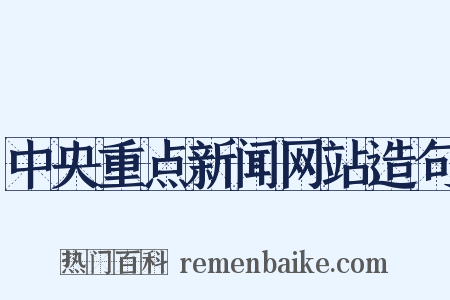 中央重点新闻网站造句是什么意思的图片